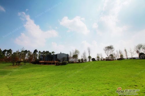 玉龙半岛属于哪个社区