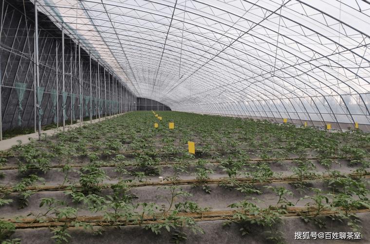 东营市孙路村二手房价格