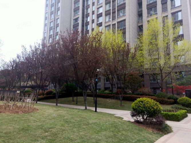 临沂正直花园租房信息