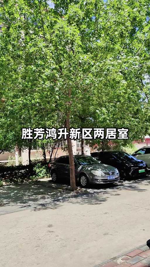 霸州市胜芳镇二手房价格