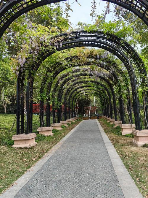 武汉市汉阳区琴台社区