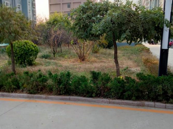 孟津南苑花园租房信息