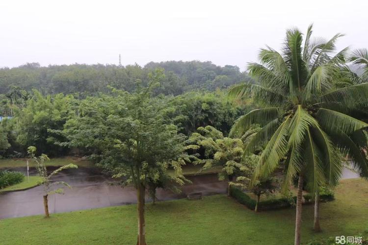 琼海天来泉社区租房子