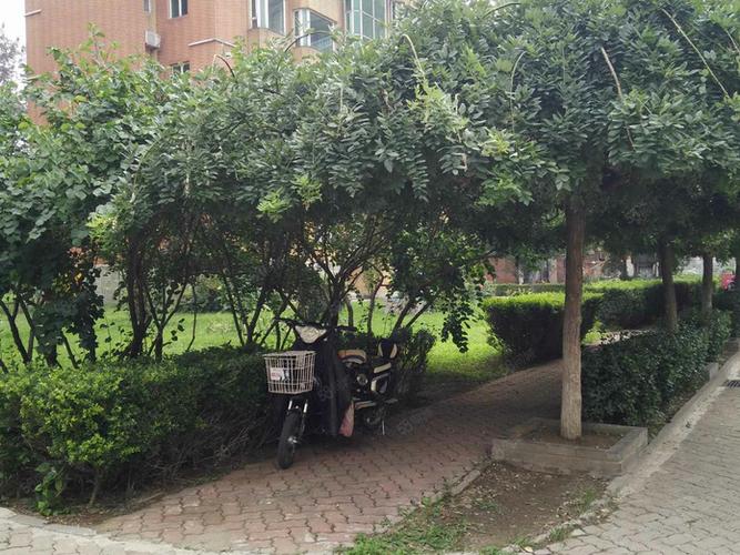 北京展览路街三塔社区