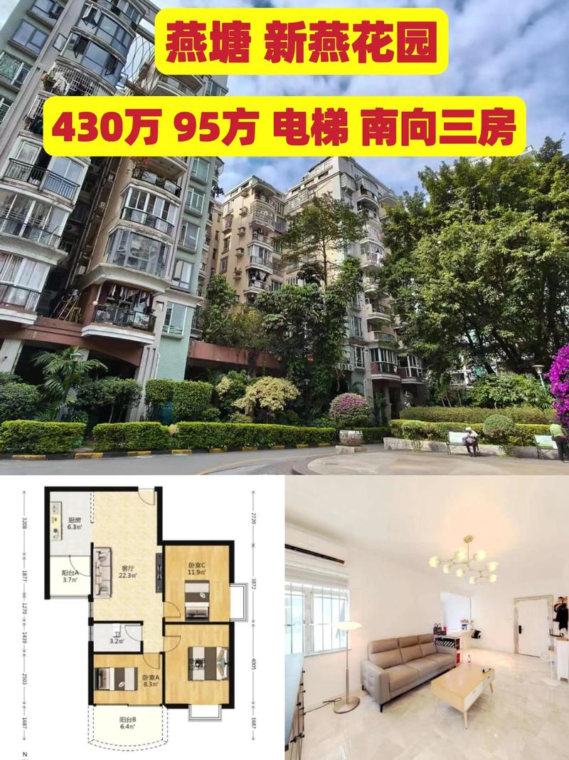 东山国际e区二手房价格