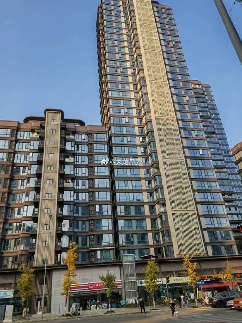 成都西派国樾二手房价格