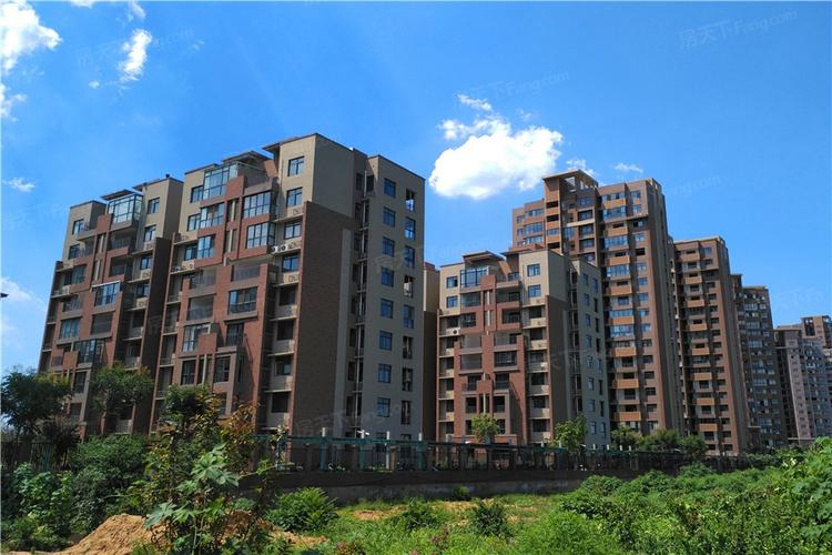 洛阳市天明城二手房价格