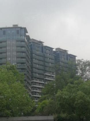 之江一号二手房价格暴跌