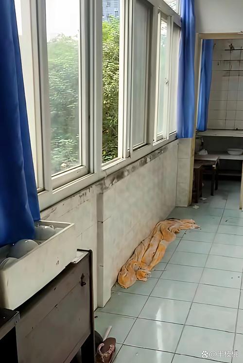 丛桂街75号二手房价格