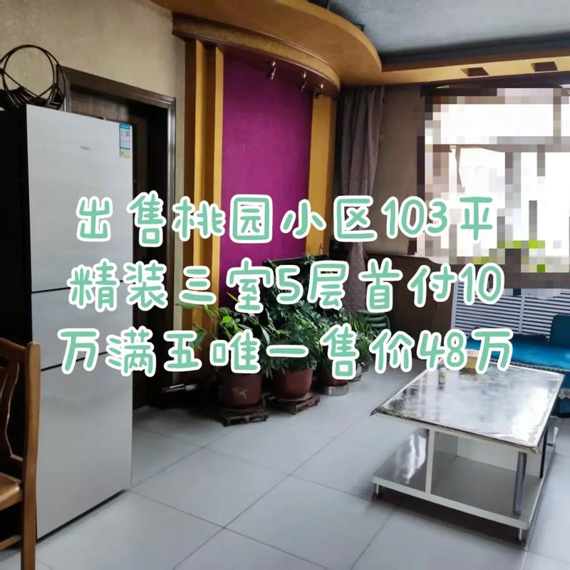 桃园公寓小区租房信息