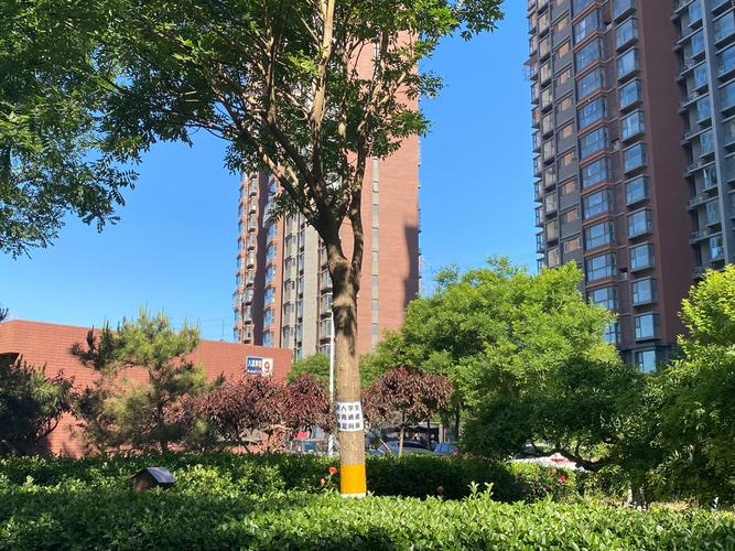 八家嘉苑属于哪个社区