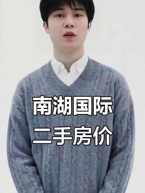 南湖国际社区五期房价