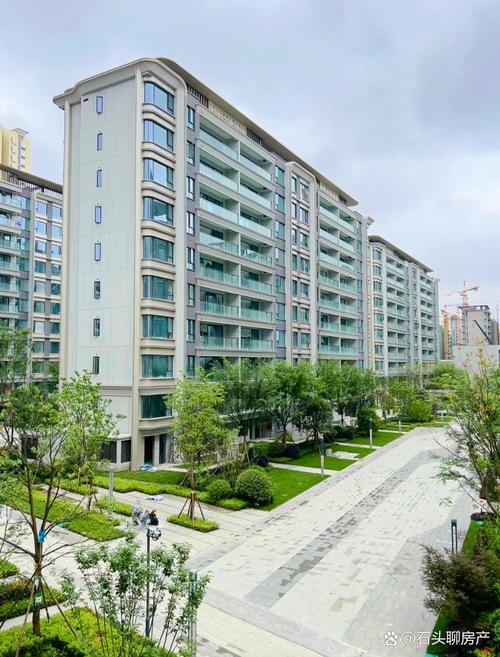 金牛国际社区二期洋房