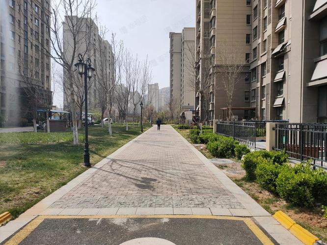 济南中海国际社区违建