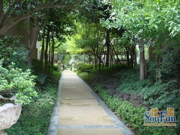 中海国际社区碧林怎样