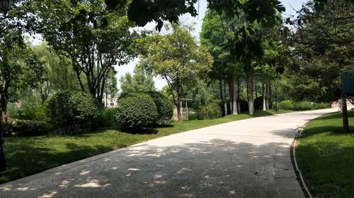 思念果岭国际社区六期