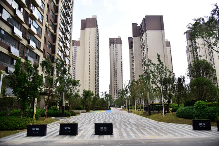 杭州保亭社区要建楼盘