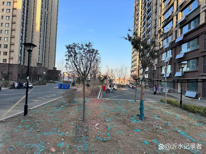 青岛市城阳区洼里社区