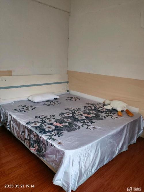 张店金桥小区租房信息