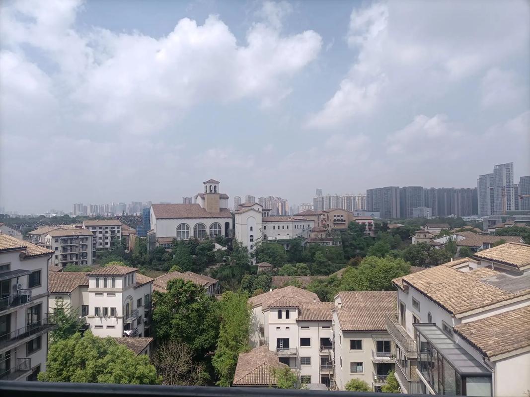 麓山国际社区是哪个区