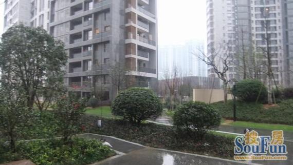 金基晓庐属于什么社区