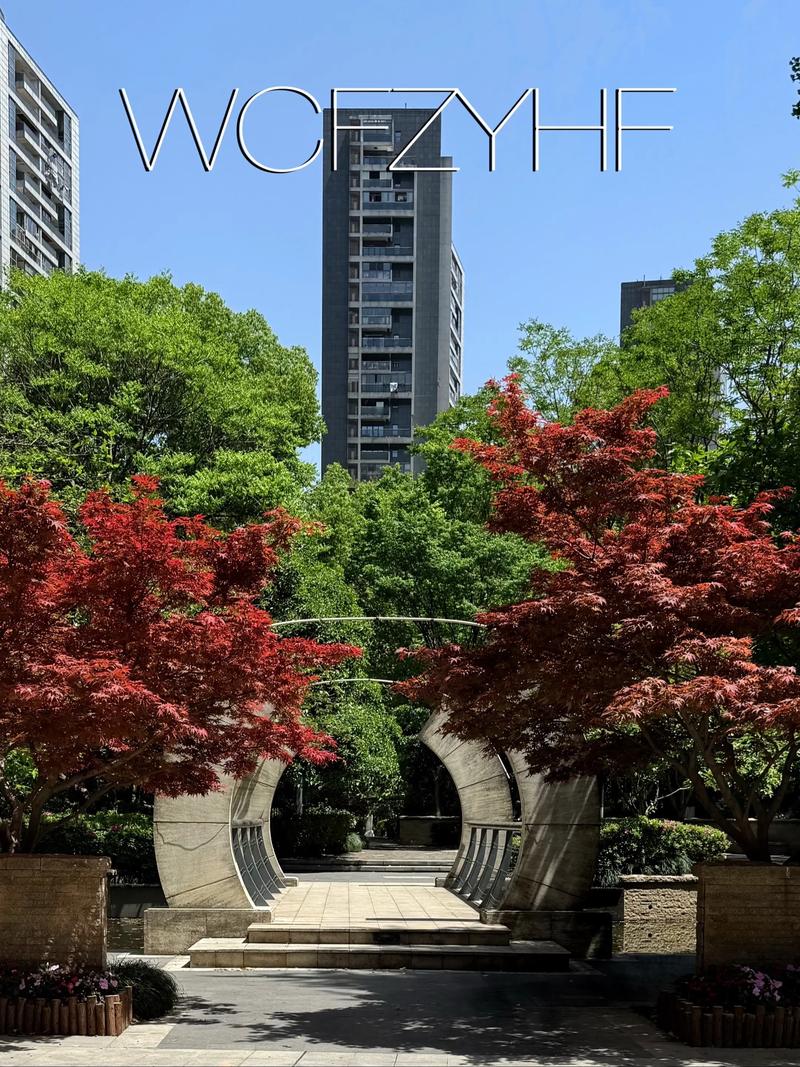 金基晓庐属于什么社区