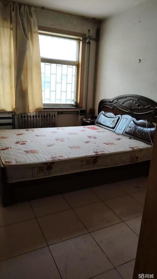 山东济宁金乡租房信息