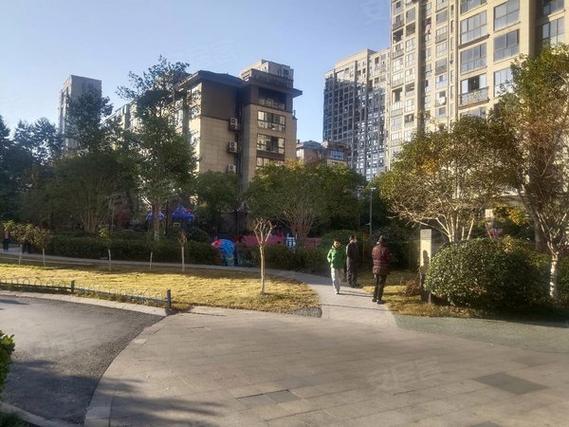 万泰城章属于哪个社区