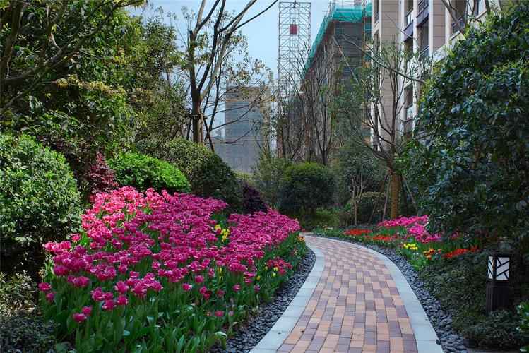 万泰城章属于哪个社区