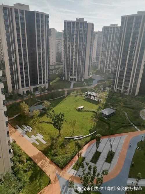 众安理想湾是什么社区