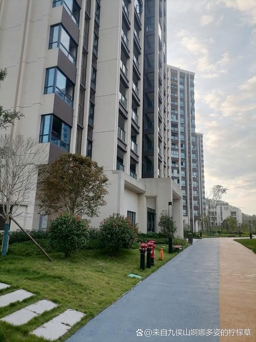 众安理想湾是什么社区