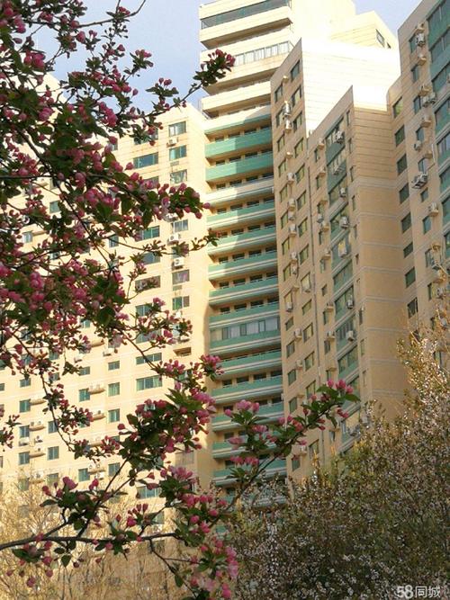 慧忠北里第四社区房价