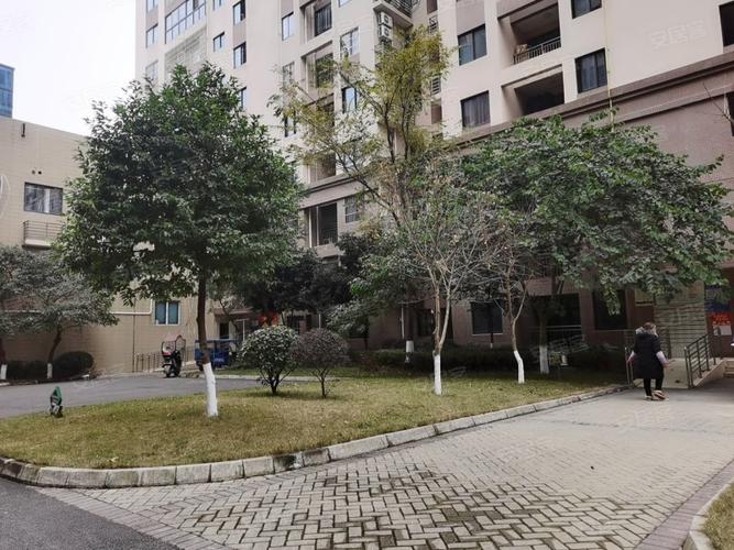 四川绵阳兴隆社区房价