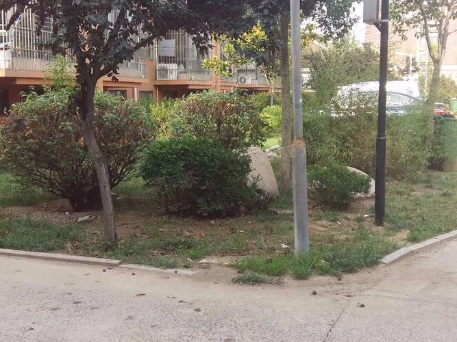 青岛城阳区南瞳社区房