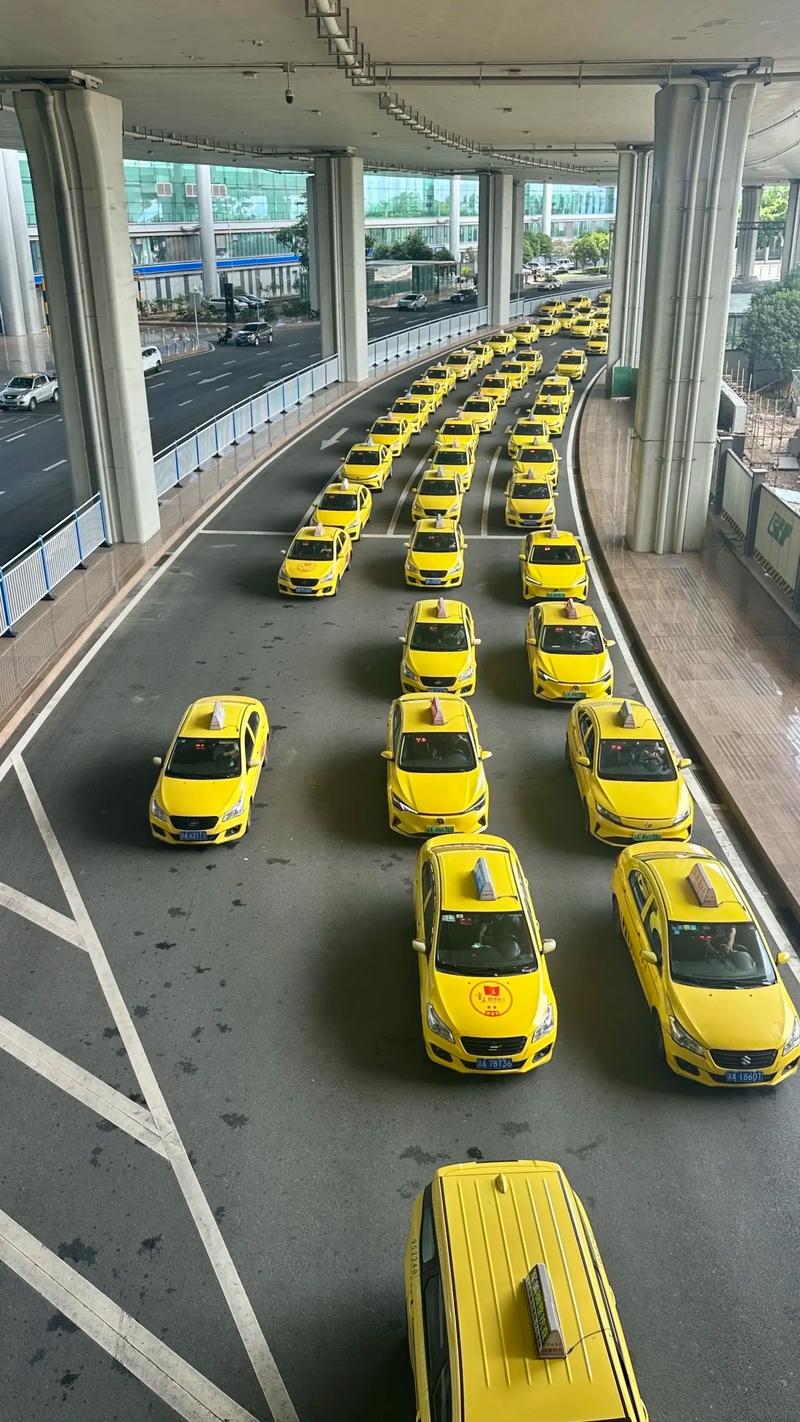 国际社区到重庆汽车站