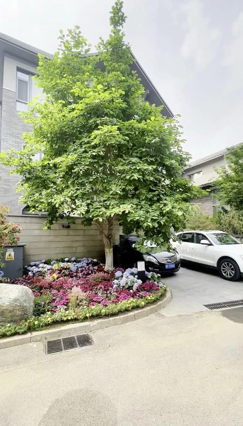 优山美地属于那个社区