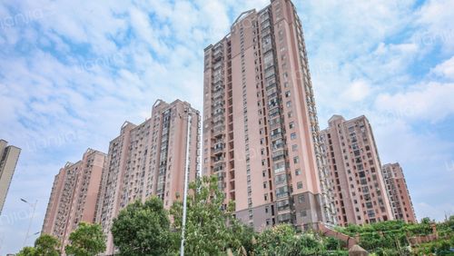 新建区朗晴园二手房价格