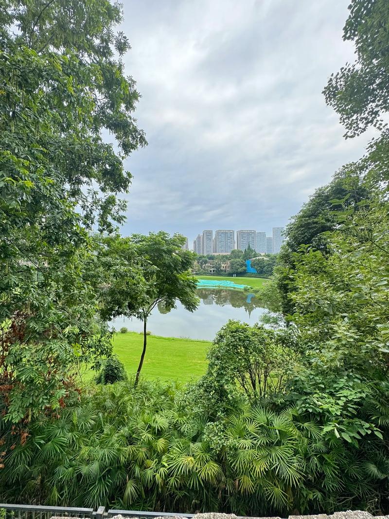 成都麓山国际社区酒店