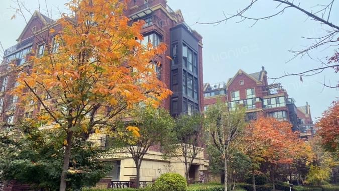 高科麓湾国际社区地址