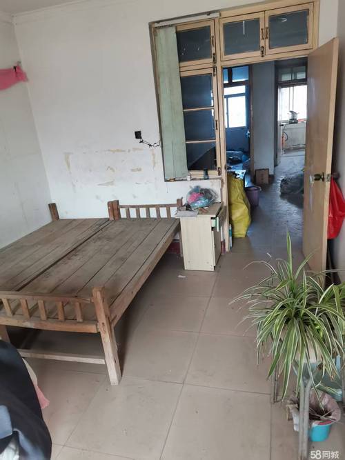 曹县今天发布租房信息