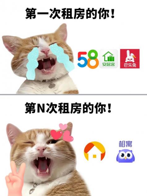 想在飞跃中路租房信息