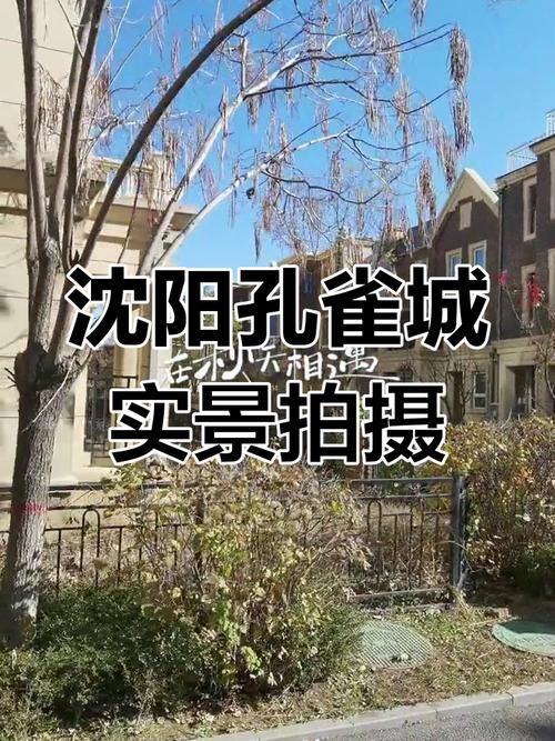 苏家屯孔雀城苹果社区