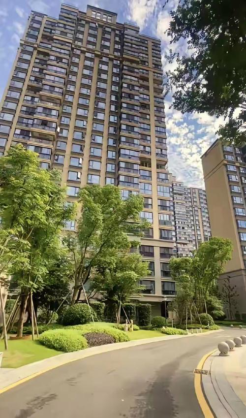 中洲社区房子可以买吗