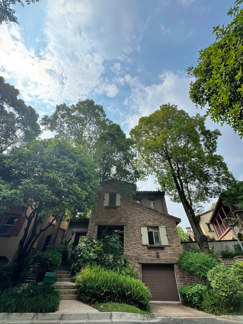 麓山国际社区房价多少