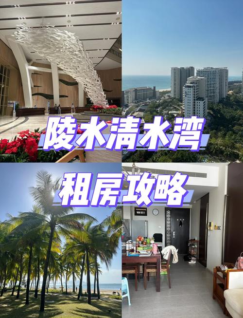 清水湾论坛 租房信息