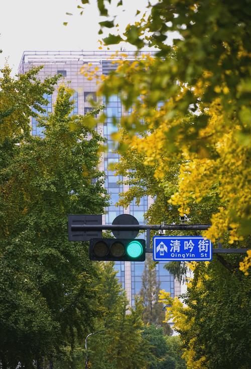 清吟街 街道 社区