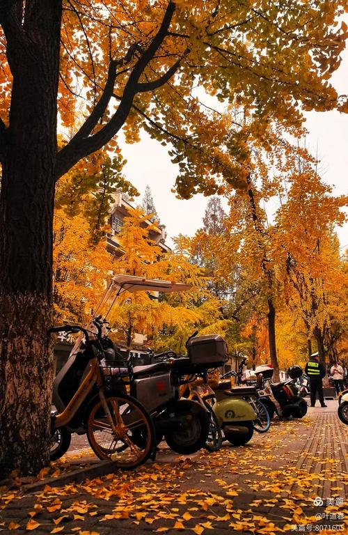 清吟街 街道 社区