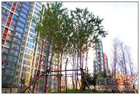 富达蓝山是什么社区