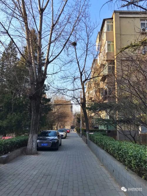 水碓子社区 改造吗