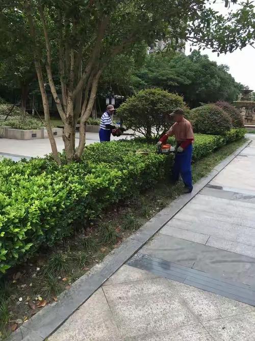 御上海属于那个社区